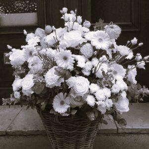 Panier en hauteur du jour