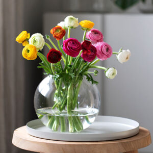 Bouquet de Renoncules variées