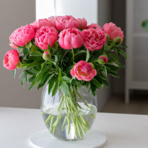 Bouquet de Pivoines corail